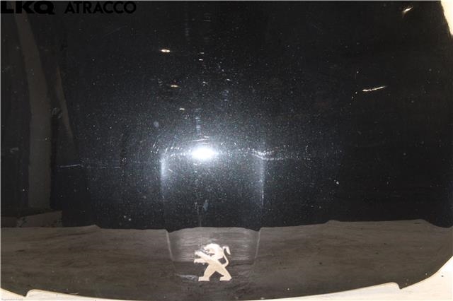 Panser til Peugeot 308 2013-2021 (Type II)  (9802163180|)