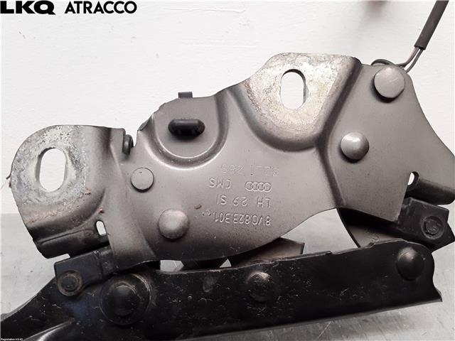 Panserhengsler til Audi A3 2009-2012 (Type II, Fase 2)  (8V0823301F|)
