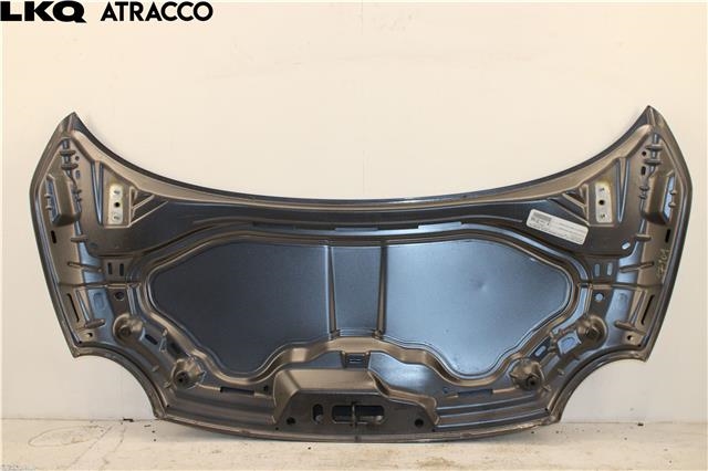 Panser til Fiat 500 2008-2020  (51859537|)
