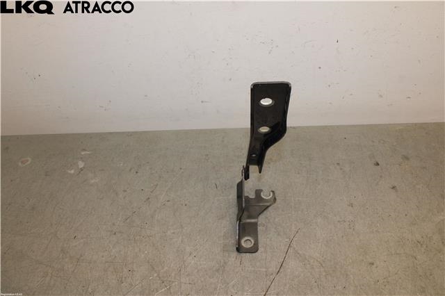 Panserhengsler til VW Polo 2009-2014 (Type V, Fase 1)  (6R0823302B|)