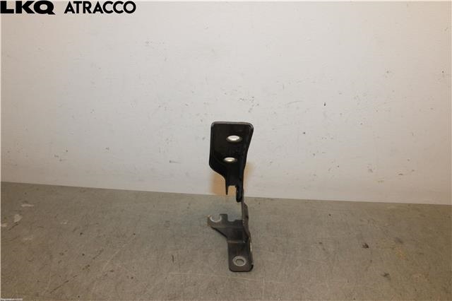 Panserhengsler til VW Polo 2009-2014 (Type V, Fase 1)  (6R0823301B|)