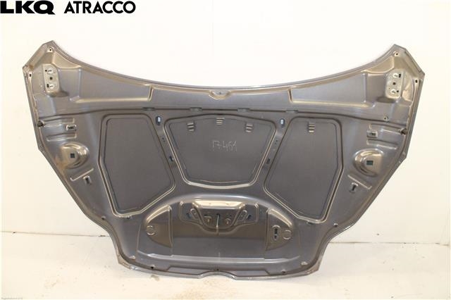 Panser til Ford Focus 2011-2014 (Type III, Fase 1)  (1797477|)