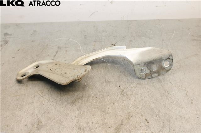 Panserhengsler til Ford Focus 2014-2018 (Type III, Fase 2) (1750018|)