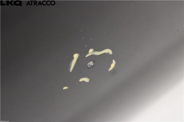 Panser til VW Golf, Plus/Cross 2009-2013 (Fase 2)  (5G0823031J|)