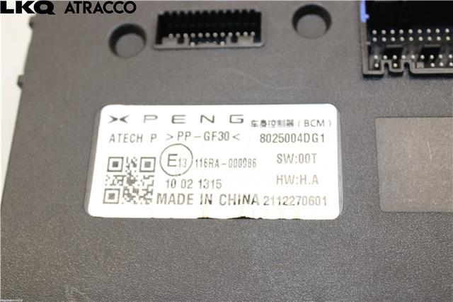 Styreenhet diverse til XPeng G3 2021-->>  (8025004DG1|)