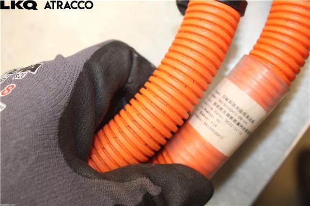 Batterilader inntak/luke til XPeng G3 2021-->>  (8415002DC1|)