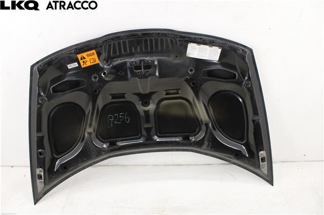 Panser til Honda Civic 2006-2011 (Type VIII)  (60100SMGE00ZZ|)