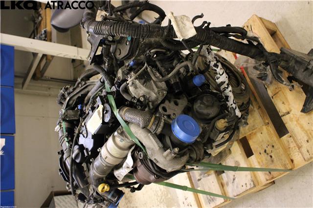 Motor diesel til Ford Focus 2014-2018 (Type III, Fase 2)  (1733055|)