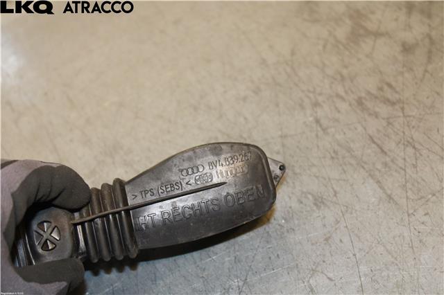 Hengsler til Audi A3 2009-2012 (Type II, Fase 2)  (8V4839267|)