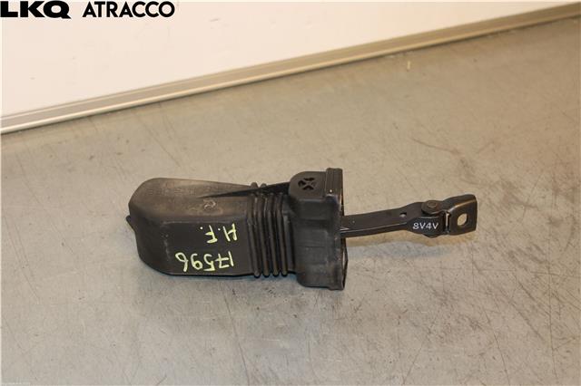Hengsler til Audi A3 2009-2012 (Type II, Fase 2) (8V4837249A|)