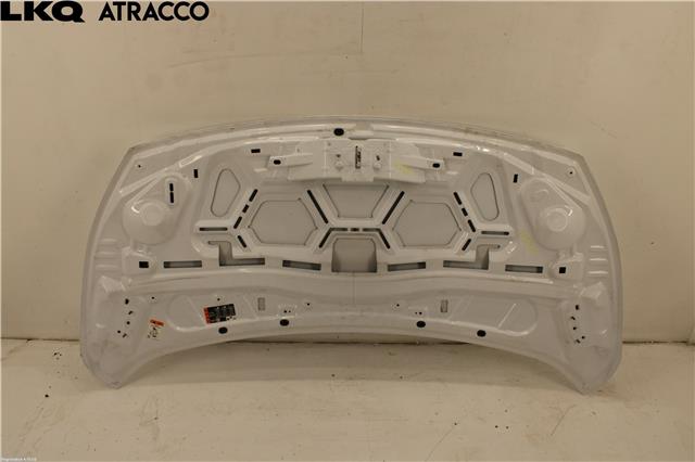 Panser til Ford Transit Connect 2013-2018 Type II, Fase 1  (1808950|)