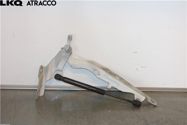Panserhengsler til Volvo XC60 2008-2013 (Type I, Fase 1)  (31385814|)