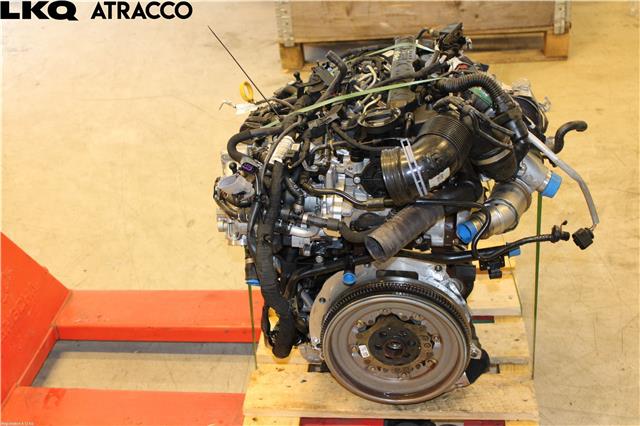Motor diesel til Škoda Octavia 2017-2020 (Type III, Fase 2)  (04L100038G|)