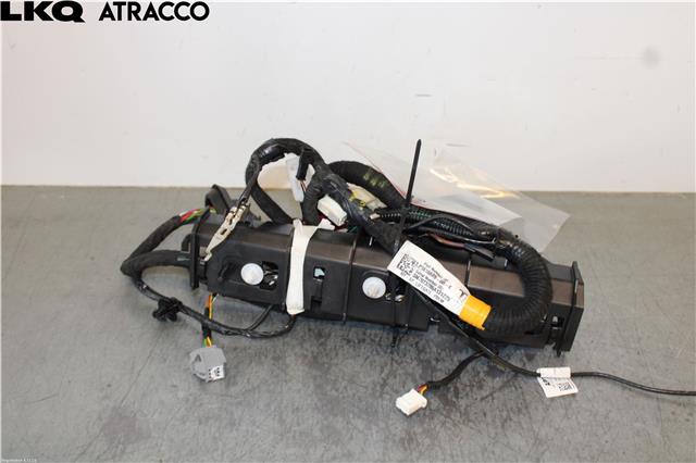 Ledningsnett til Tesla Model Y 2021-2024 (Type I)  (161668900E|)