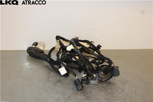 Ledningsnett til Ford Mustang Mach-e 2020-->> (LJ8T14633|)