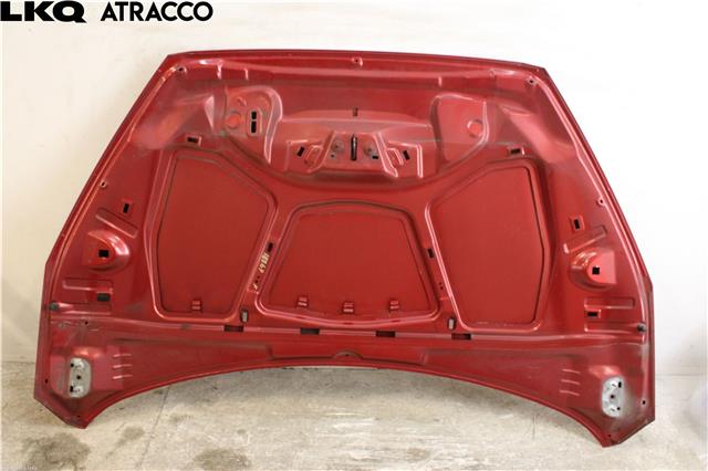 Panser til Ford Focus 2014-2018 (Type III, Fase 2)  (1852919|)