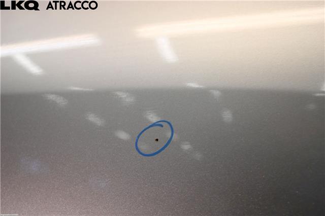 Dør venstre bak til Toyota RAV4 2009-2013 (Type III, Fase 2)  (6700442121|)
