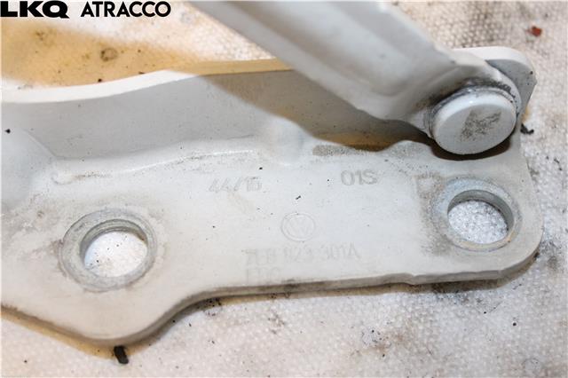 Panserhengsler til VW Transporter / Caravelle 2015-2019 (T6) (T6)