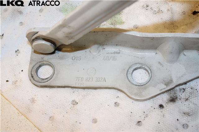Panserhengsler til VW Transporter / Caravelle 2015-2019 (T6) (T6)