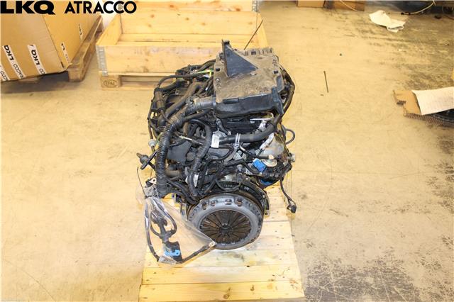 Motor bensin til Ford Focus 2011-2014 (Type III, Fase 1) (1824944|)