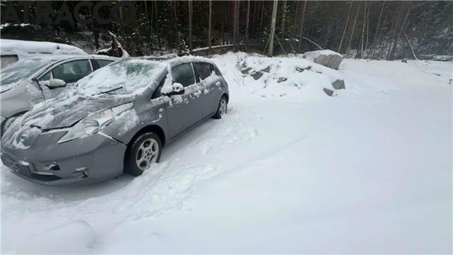 Nissan Leaf 2011-2017 (Type I) , Motorkode: EM61 EM61, Girkassekode: 