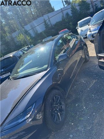 Tesla Model 3 2018-2023 (Fase 1) , Motorkode: 3D1, Girkassekode: Automat