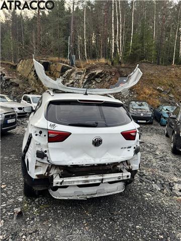 MG ZS EV 2019-2021 (Type I, Fase 1) , Motorkode: TZ204XS105K02, Girkassekode: Automat