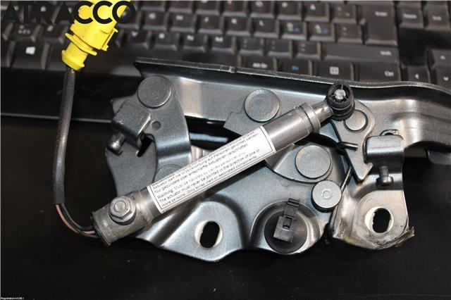 Panserhengsler til Audi A3 2009-2012 (Type II, Fase 2)  (8V0823302F|)