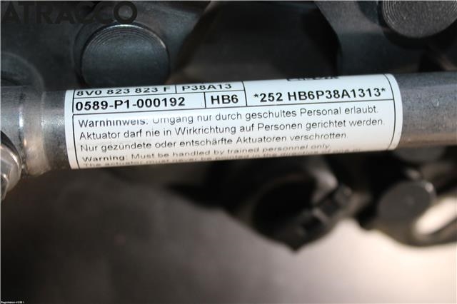 Panserhengsler til Audi A3 2009-2012 (Type II, Fase 2)  (8V0823302F|)