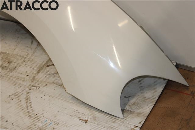 Skjerm venstre foran til VW Beetle 2011-2018 (Type II)  (5C5821021B|)