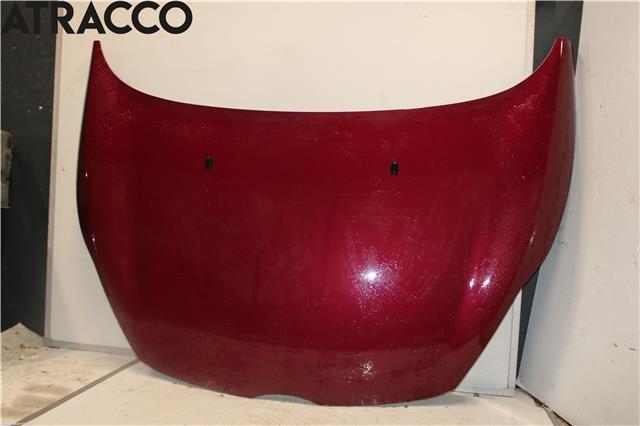 Panser til Ford Fiesta 2008-2012 (Type VI, Fase 1)  (P9A61A16610AH|)