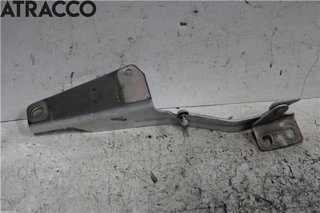 Panserhengsler til Renault Kangoo 2021-->> (Type III)  (654013136R|)