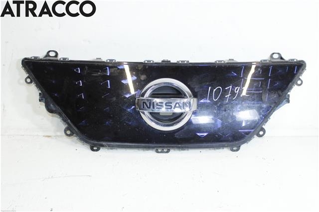 Grill til Nissan Leaf, 2018-->> (Type II)  (620725SK0D)