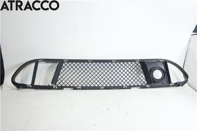 Grill midt til BMW 5-Serie 2003-2010 (E60/E61) (E60/E61) (51117896586|)
