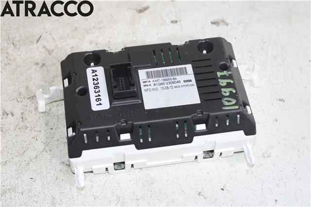 Instrument diverse til Ford Fiesta, 2008-2012 (Type VI, Fase 1) (AA6T18B955BA)