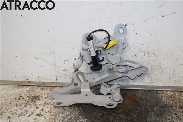 Panserhengsler til BMW X1 2009-2015 (E84) (E84) (41007427125|)