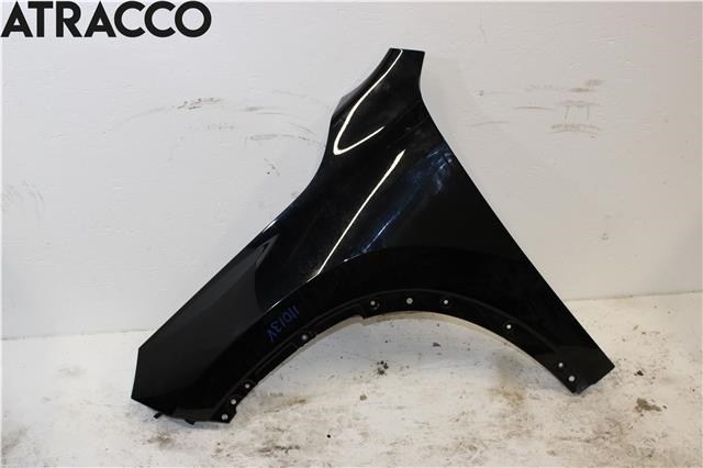Skjerm venstre foran til BMW X1, 2022-->> (U11) (U11) (41009629107)