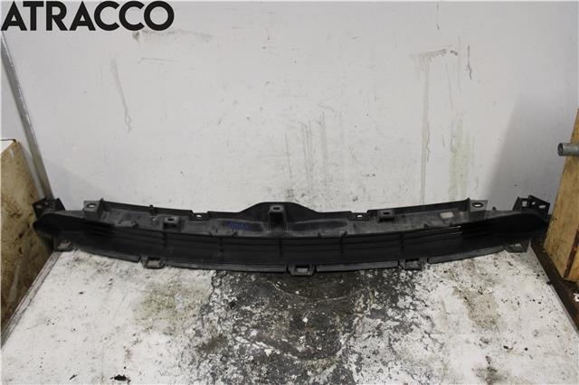Grill midt til Tesla Model 3, 2018-2023 (Fase 1)  (108592700C)