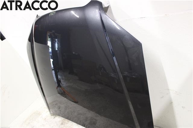 Panser til Subaru Legacy 2007-2009 (Type IV, Fase 2)  (57229AG0009P|)