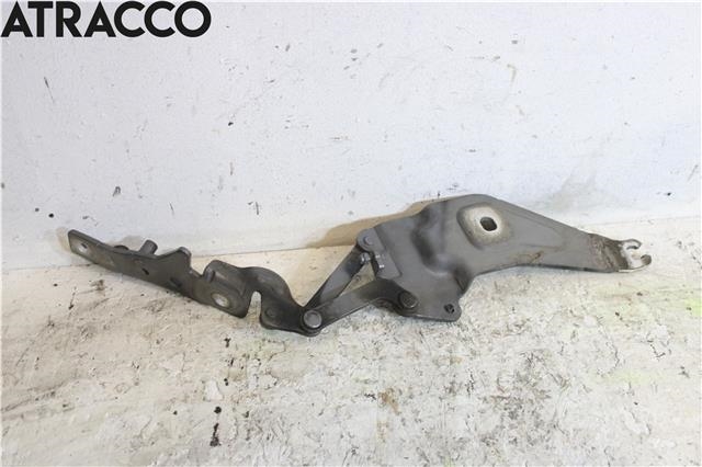 Panserhengsler til BMW X5 2007-2013 (E70) (E70) (41007198618|)