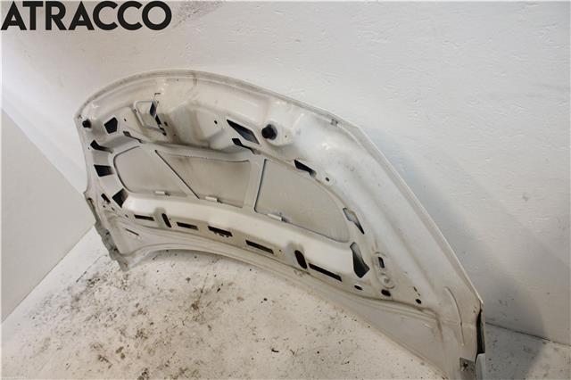 Panser til Citroën DS3 2010-2019  (7901R1|)
