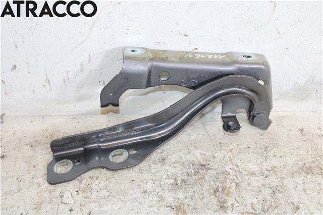 Panserhengsler til Ford Ranger / Ranger Raptor 2015-2022  (N1WB16801AB|)