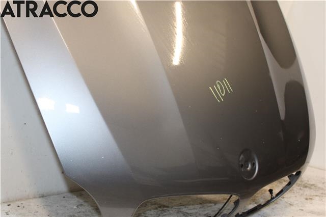 Panser til BMW X5 2007-2013 (E70) (E70) (41617486754|)