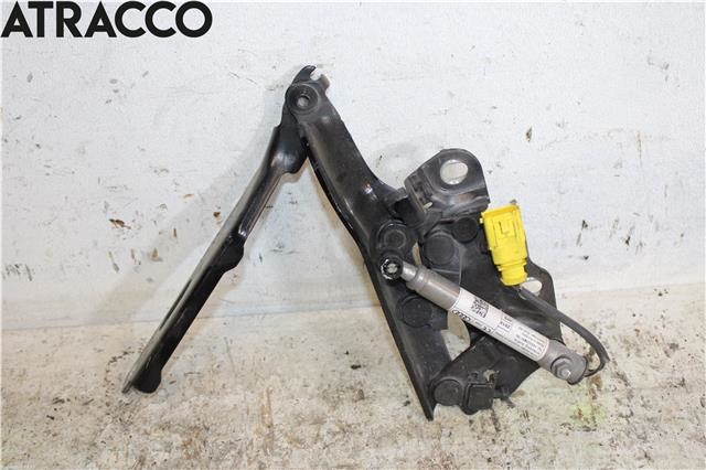 Panserhengsler til Audi A3, 2012-2016 (Type III, Fase 1)  (8V0823302F)