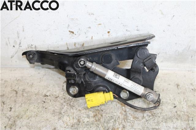 Panserhengsler til Audi A3, 2012-2016 (Type III, Fase 1)  (8V0823301F)