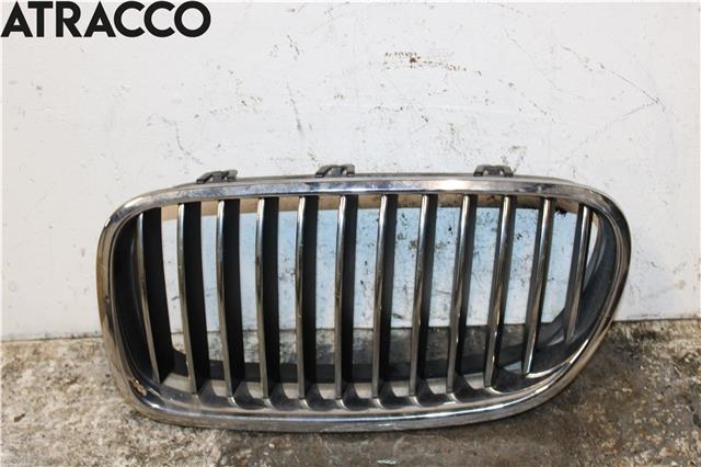 Grill venstre til BMW 5-Serie, 2010-2017 (F10/F11) (F10/F11) (51137200727)