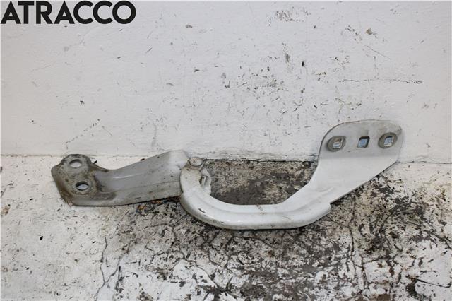 Panserhengsler til Ford Focus 2011-2014 (Type III, Fase 1)  (1750018|)