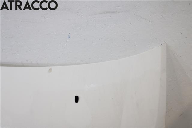 Panser til Ford S-Max 2006-2010 (Type I, Fase 1)  (1569486|)