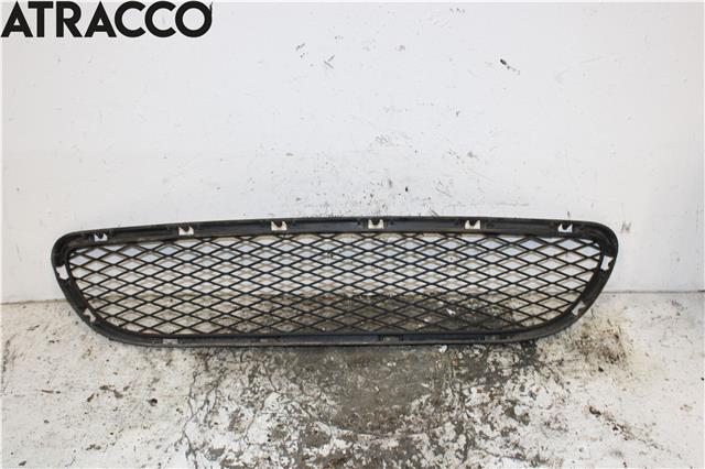 Grill til BMW 3-Serie, 2005-2011 (E90/E91/E92/E93) (E90/E91/E92/E93) (51118047365)