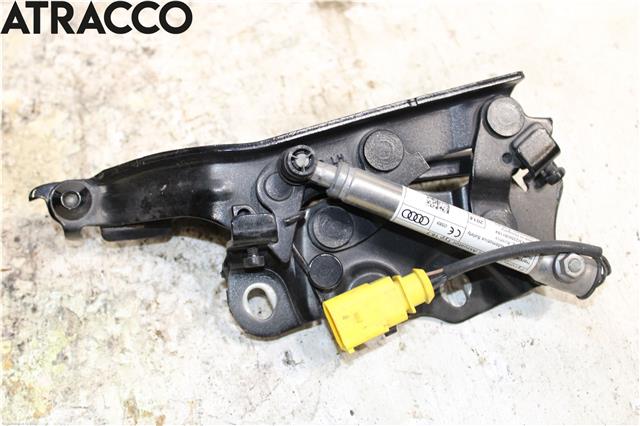 Panserhengsler til Audi A3 2009-2012 (Type II, Fase 2)  (8V0823301F|)